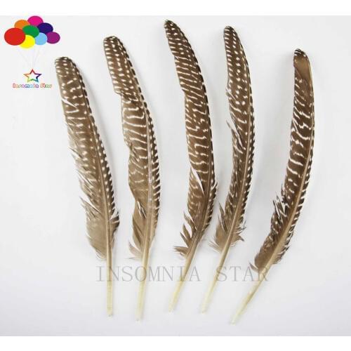 100pcs 100% natural premium pheasant feather 20-25cm/8-10inch brown tail white dot beautiful for Diy costume mask headdress
