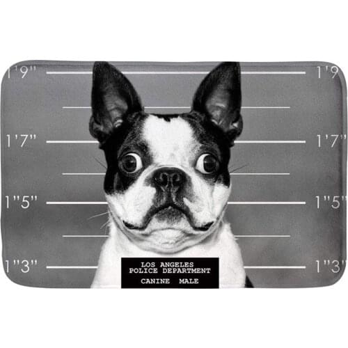 Funny Boston Terrier Doormats Anti-Slip House Garden Gate Carpet Door Mat Floor Pads