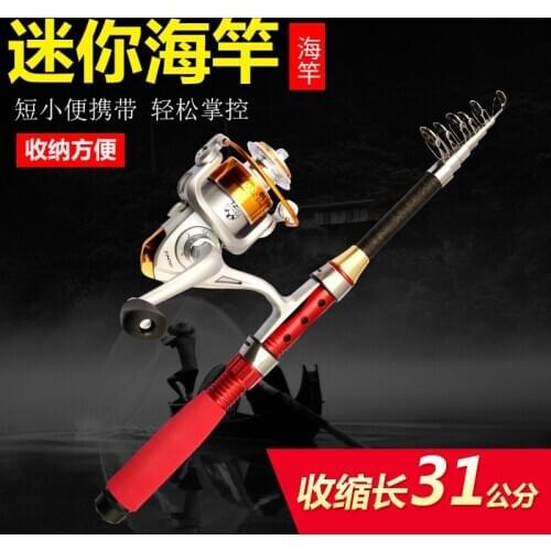 Mini Small Sea Pole Set Full Set Raft Winter Sandal Ultra-Short Fishing Rod Luya Ice Fishing Rod Fishing Rod fishing