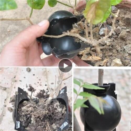 5/8cm High-pressure Transmission Breeding Case Nursery Trays Lids Rooting Balls Garden Supplies Equipment Grafting Growing Box