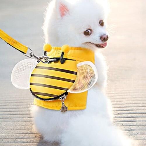 Dog Accessories Cat Accessories Dogs/cat Leash Automatic Retractable Rope Pet Tractor Chain Pets Supplies Walking Tn88