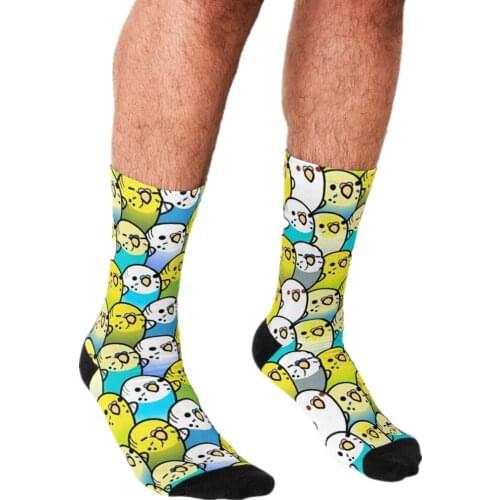 2021 Men Socks harajuku Bunches of Budgies Socks personality Printed Happy hip hop Novelty Skateboard Crew Casual Crazy Socks