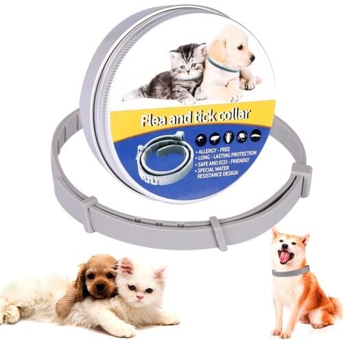 Deworming Collar Pet Dog Cat Prevention Flea Bug Insect Etc Two Size to Choose Free Shipping