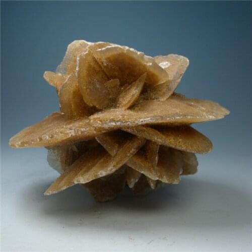 Desert Rose never withers natural mineral stone mineral crystal rose teaching specimens