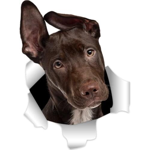 Three Ratels 3D hound Dog Stickers Super Staffie decal on Wall Fridge Toilet car bike