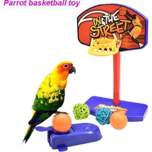 Parrot pet bird puzzle training basketball toy Mini basketball basket shooting stand intelligence development bird supplies
