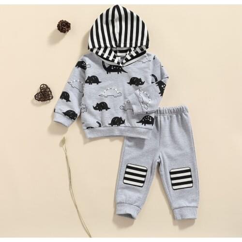 Boys Casual Two-piece Clothes Set, Grey Dinosaur and Letters Printed Pattern Hoodie and Pants
