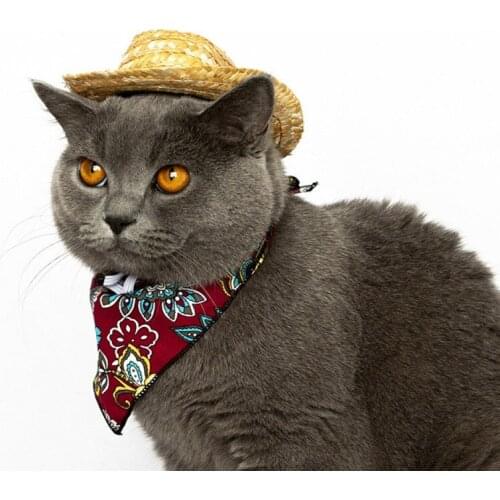 Fashion Dog Cowboy Straw Hat Dogs Cat Outdoor Hats Caps For Small Medium Dogs Cats Sunscreen Headwear Pet Accessories