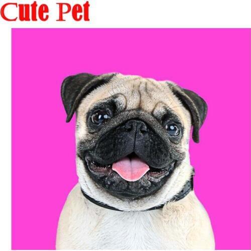 Diy Mosaic pug dog Diamond Painting Chihuahua animal all Diamond Painting 5d Art Cross Stitch Home Decoration diamond