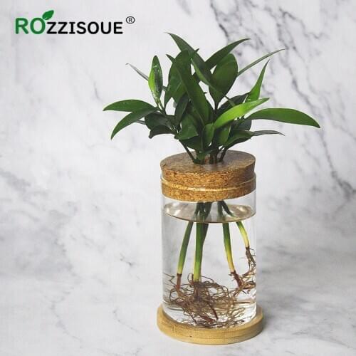 Rozzisoue Glass Pots