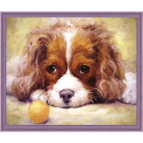 5d Diy diamond paintings Full Round Cavalier King Charles Spaniel mosaic pictures by rhinestones embroidery diamond art
