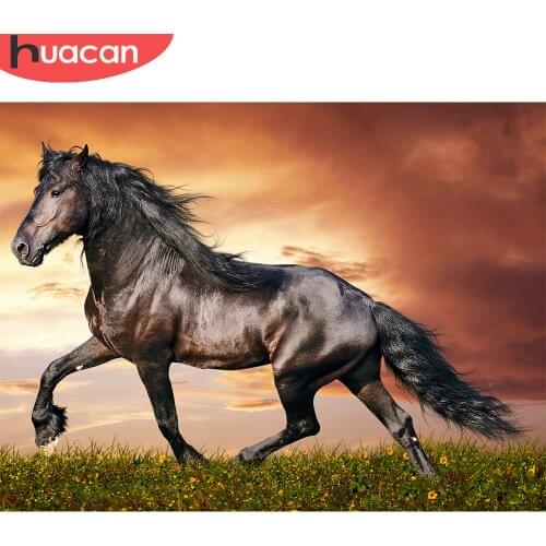 HUACAN Diamond Painting Animal Mosaic Embroidery Black Horse Cross Stitch Decoration Painting With Diamonds Home Art