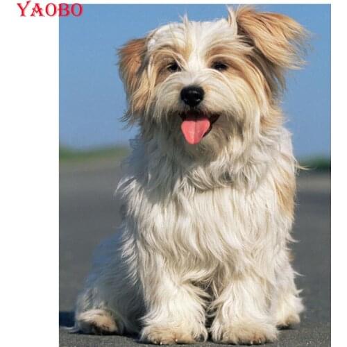 Full square/round 5d diy diamond painting Yorkshire Terrier animal diamond embroidery pet dog cros-stitch kit mosaic home decor