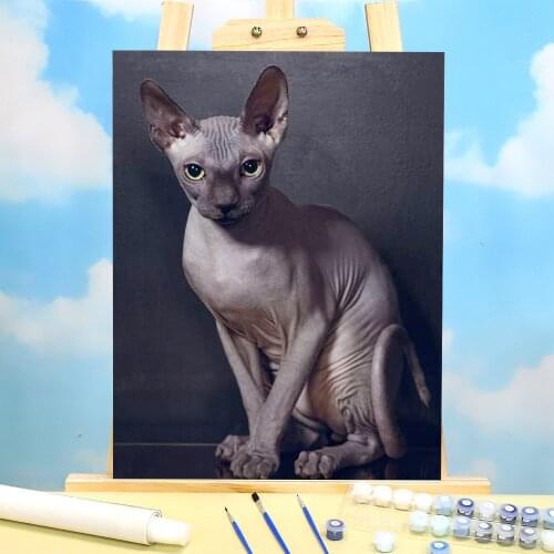 Animal Cat Coloring By Numbers Painting Set Oil Paints 40*50 Canvas Painting New Design Crafts For Handicraft