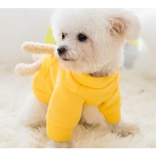 Autumn and Winter Dog Sweater Small and Medium-sized Pet Bipod Breathable Cat Cute Teddy Bear Pet Puppy Clothes Kitten Clothes