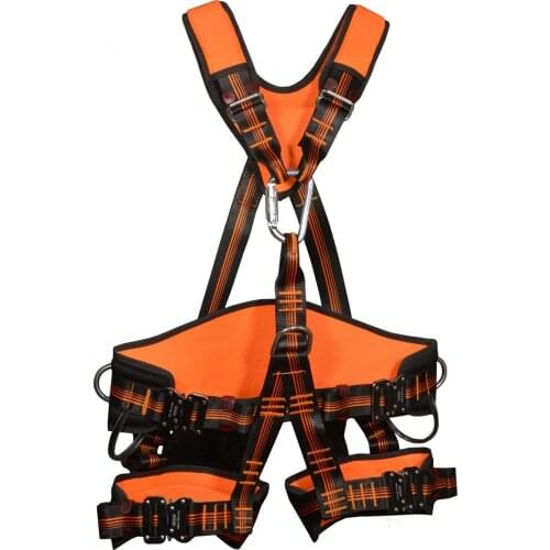 Fall Protection and Positioning Harness