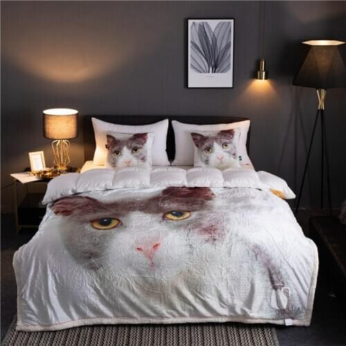 Drop Shipping Cashmere Blanket Double Layer Animal Throws 150*200cm Velvet Sofa Cover White Cat Coffee Lion Fashion Dog home Bed