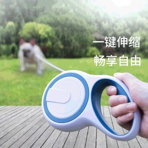 Self-retractable leash for dogs large and medium sized with a walking rope for golden retrievers