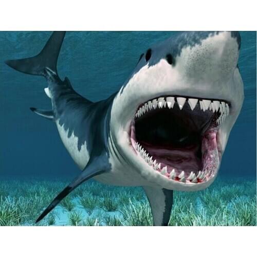 Full Diamond Embroidery shark Diy Diamond Painting Cross Stitch Tiger shark Sets Unfinished Decorative 5D Square Needlework