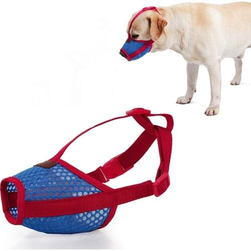 Dog Accessories OLN China