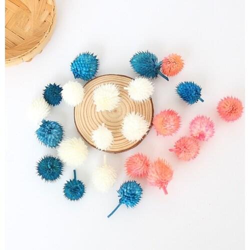 10g Dried Plant GomphrenaGlobosa Home Decor DIY Materials For Handmade Decoration Eternal Flower Material Candles And Supports