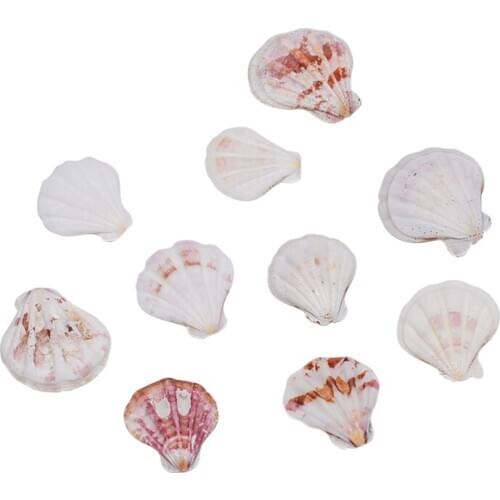 10PCS Mediterranean Style Beautiful Beach SeaShells Mix Sea Natural Shells Shell Crafts for Aquarium Fish Tank Decor