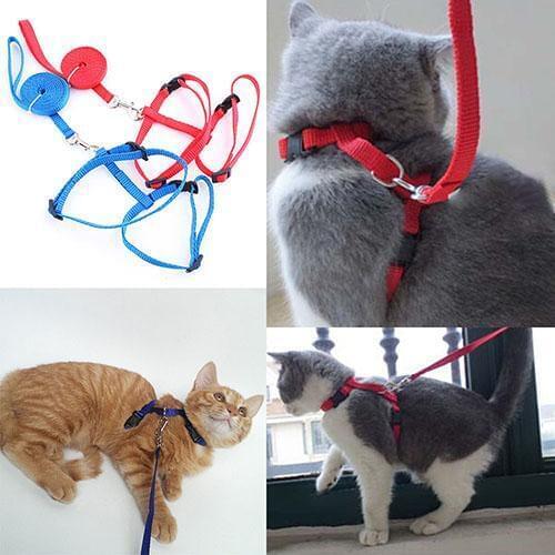 Adjustable Cat Dog Collar Reflective Harness And Leash Nylon Cat Puppy Pet Harness kitten Collar Lead Leash Traction collar gato