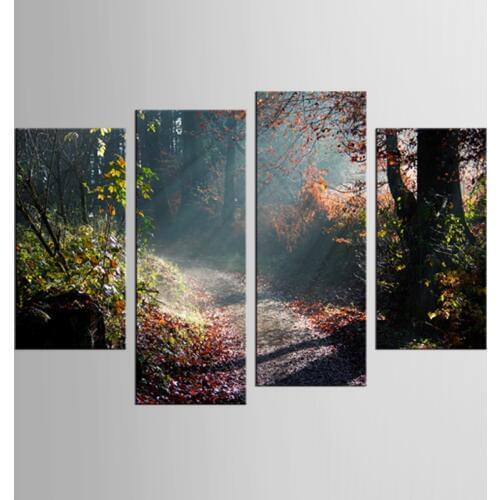 4 sets of sunshine care dark forest road landscape mural art home decoration living room canvas print modern painting XL-FJ345-1