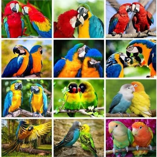 HUACAN 5D DIY Diamond Painting Animal Parrot Rhinestones Full Square/Round Diamond Embroidery Mosaic Handmade Gift