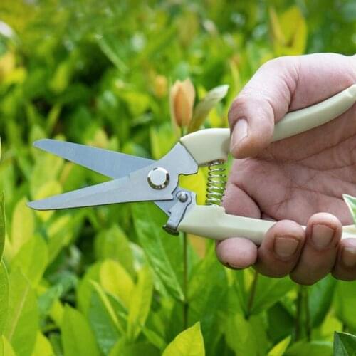 Секаторы Comopez China At AliExpress