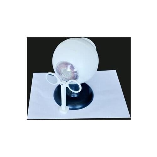 Eyeball imaging demonstration model construction teaching biological instrument