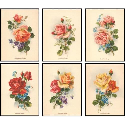 Counted Cross Stitch Kits Needlework Embrodery - Crafts 14 ct Aida Color DIY Arts Handmade Home Decor - Vintage Roses Collection