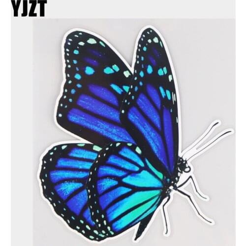 YJZT 15.8×17.3CM Cute Blue Butterfly Cartoon Scratch Decoration Stickers Car Accessories 21A-0586