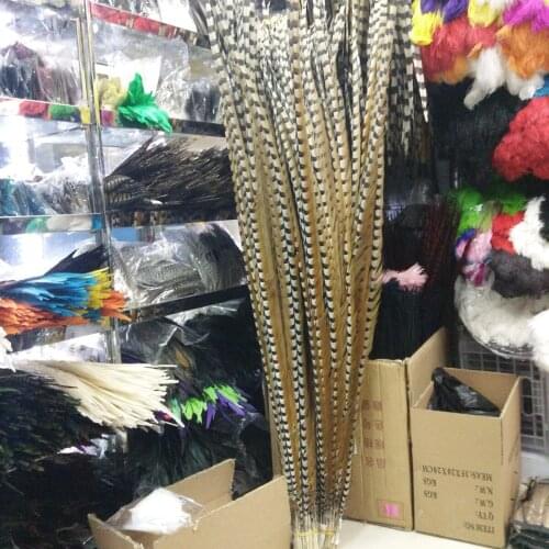 Wholesale 10pcs Beautiful 48-52inch/120-130cm natural copper chicken feathers stage performances decoration