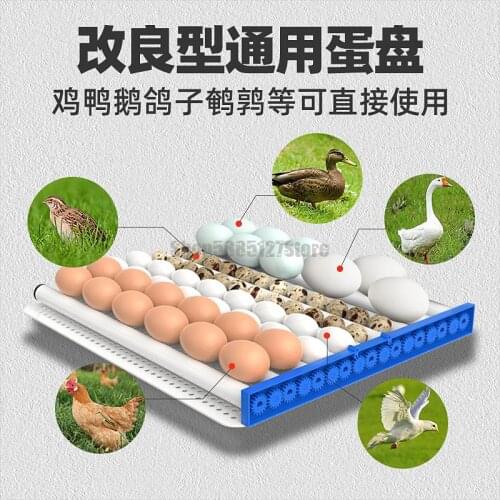 Incubator Automatic Incubator Intelligent Small Household Incubator Mini Chicken Duck Goose Quail Incubator