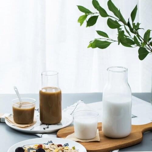 Japanese Style Creative Heat-resistant Glass Cup 2 pcs For One Person Teapot Ice Cold Kettle Milk Cup Simple Juice Cups Glass