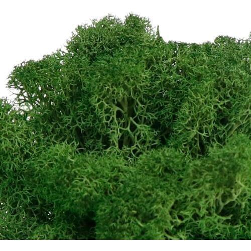 20g Artificial Plant Eternal Life Moss Garden Home Decoration Wall DIY Flower Material Mini Garden Micro Landscape Accessories