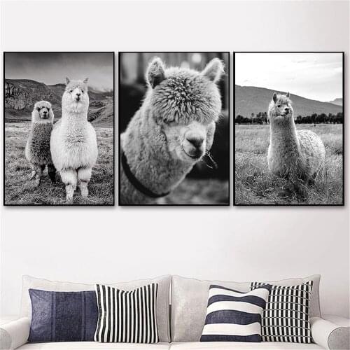 Llama Black And White Animal Canvas Print Alpaca Wall Art Poster Nursery Painting Nordic Wall Pictures Living Room Home Decor