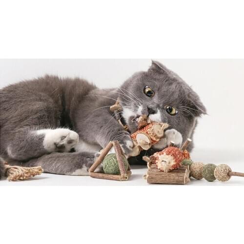 Funny Cat Catnip Toy Creative Natural Teeth Cleaning Toy Silvervine Treat Khaki Pet Kitten Chewing toy herbe a chat Cat Supplies