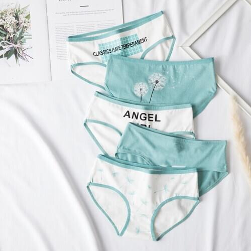 Panties For Women Cotton Underpants Swan Pattern Ladies Casual Underwear Female Sexy Lingerie Gril Briefs Women Intimates