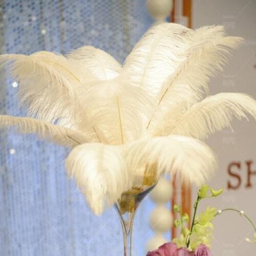Hot sale ! 10pcs/lot Beautiful Ostrich Feathers for DIY Jewelry Craft Making Wedding Party Decor Accessories Wedding Decoration
