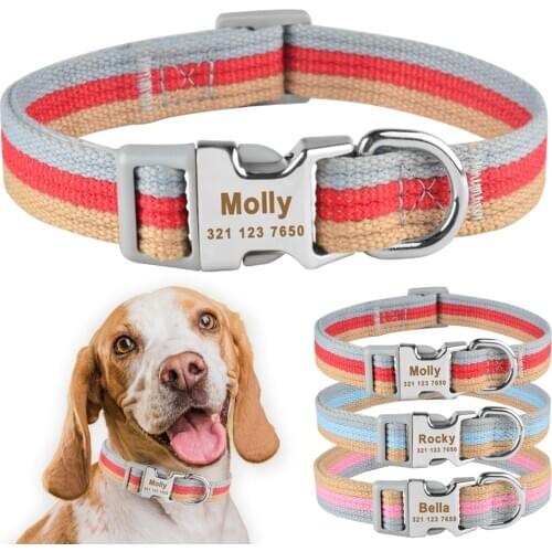 Personalized Dog Collar Custom Engraved ID Name Padded Small Medium Large Puppy Personalised Dog Collar Boy Girl