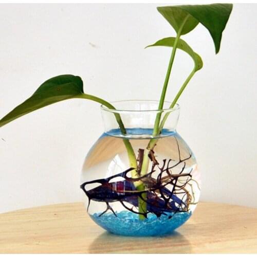 Vases Flower Planter Flower Bottle Glass Fish Tank Container Terrarium Home Table Decoration Clear