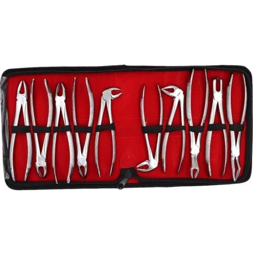 10pcs Stainless Steel Dental Extracting Pliers Suit Dentist Surgical Extraction Tooth Forceps Tools Adults Dental Lab Instrumen