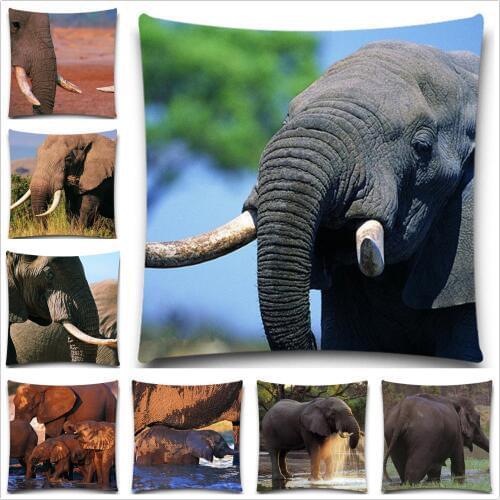 Animal Style Home Decorative Pillow Case 5 size Wholesales Cotton Polyester Square Pillow Cover Elephant Cushion Cover