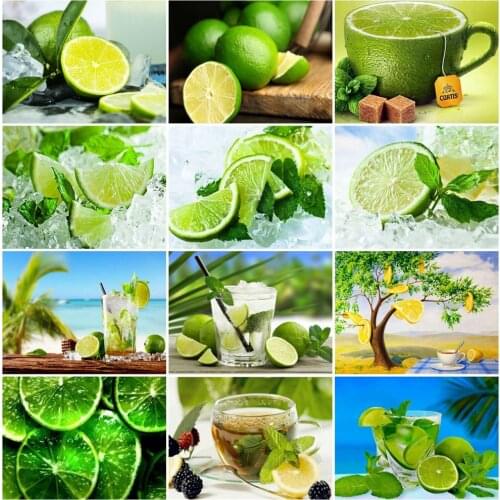 EverShine 5D DIY Diamond Mosaic Lemon Bead Embroidery Diamond Painting Landscape Cross Stitch Wall Art Picture Rhinestones