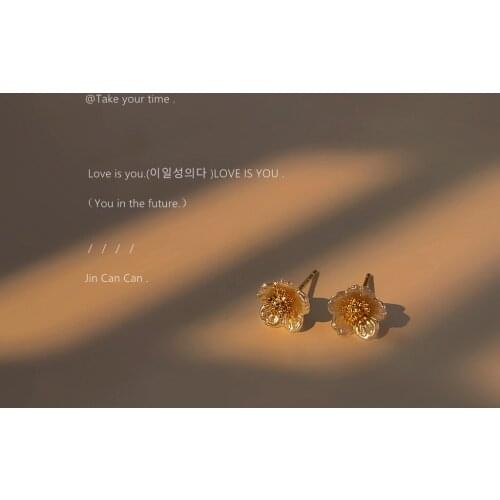 Fresh Flower Earrings Female 925 Silver Needle Gift To Girlfriend Flower Earrings Cute Earrings Gold Plated Jewelry Wholesale