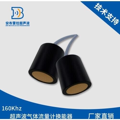Transducer 160K+5Khz Probe for Ultrasound Transducer Amblera Ultrasound Gas Flow Meter