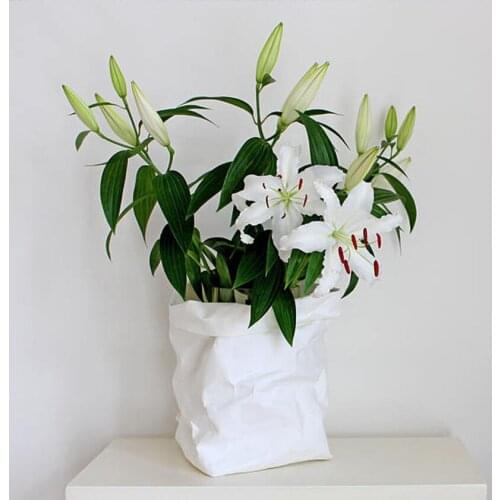 Washable Kraft Paper Nordic Storage Bag No Words Plants Flower Grow Container Sundries Food Storage Bags Organizer for Home