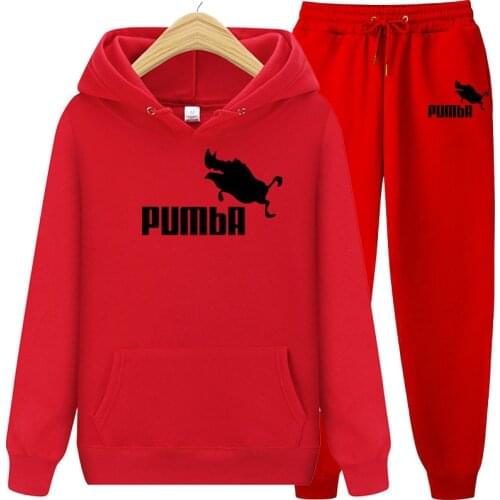 2021 brand tracksuit hoodies for Men Sportswear two-piece sets of thick hooded wool + Pants sports suit for mens